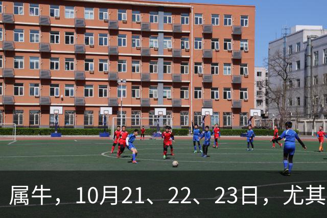 属牛，10月21、22、23日，尤其是23日，这三天命运要给你换剧本了